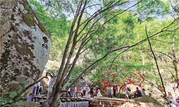 “五一”假期洛阳文旅市场加速回暖