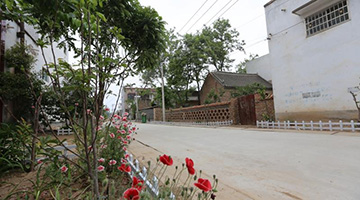 杞县：站在新生活新奋斗的起点