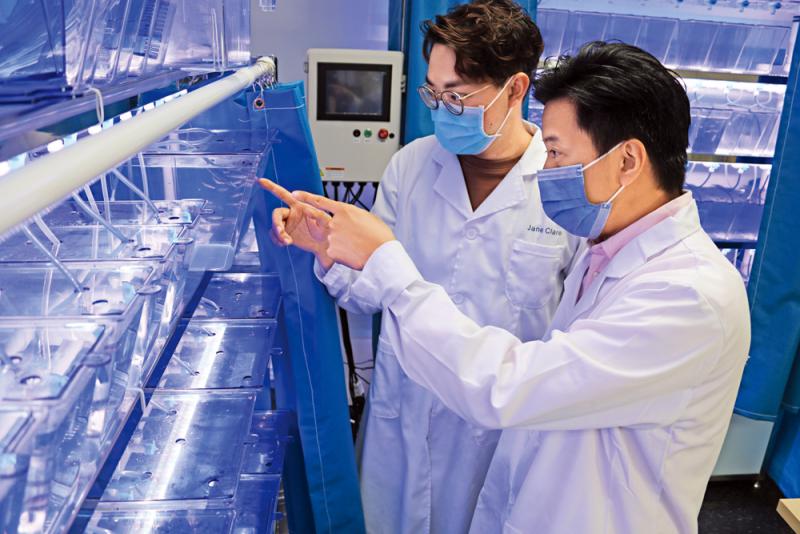 直播带货火 港企心动试水