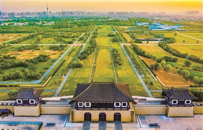 天街露芳容 洛城添魅力