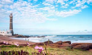 乌拉圭驻华大使访河南 冀多领域合作