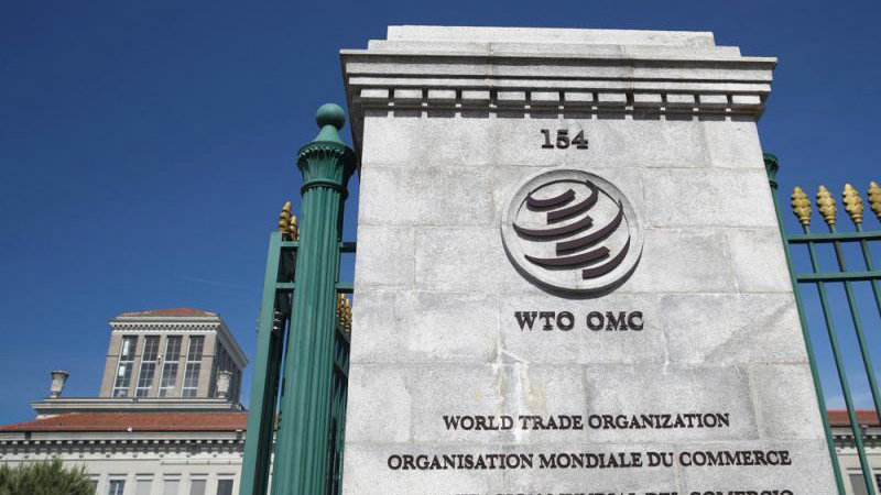 世贸总干事竞选 非欧激烈博弈