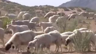 内蒙古旱情持续 土地干旱面积超五成