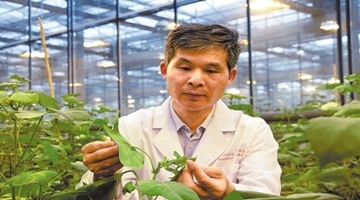 周树堂：与昆虫打交道的人