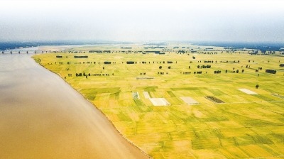 打造新时代黄河文化地标全面展示黄河文化魅力