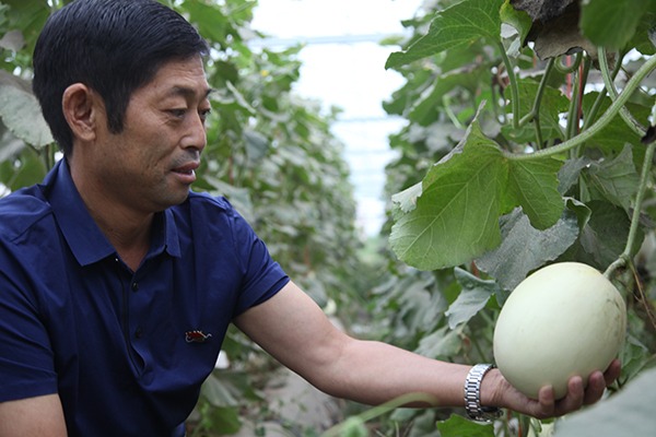 “三不要”书记杜振远 扶贫续军魂 圆了“乡愁”梦