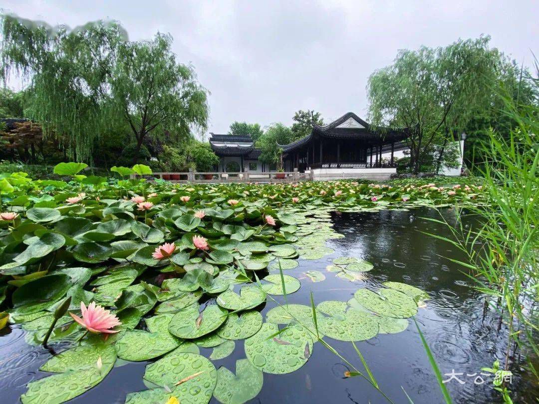 收藏|河南中牟景區：「綠博之夜」，帶你Hi翻整個暑假