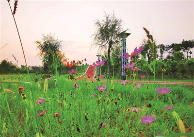 高新區洛河之濱添「樂道」