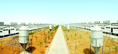 牧原集团：养猪也是“高科技”行业