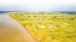 打造黄河文化主地标的构想与思路