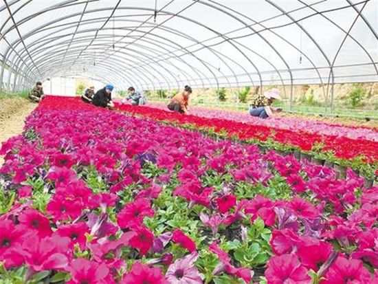 决战决胜脱贫攻坚主题全媒体集中采访团走进兰州