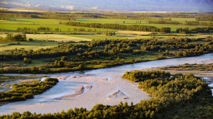 新疆昭蘇縣80餘萬畝小麥覆隴黃