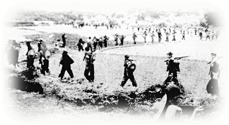 ﻿人文历史/东江纵队港九大队的传奇历史/香港中史教师会会长 李伟雄