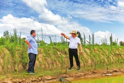 杨长太的“三级跳”