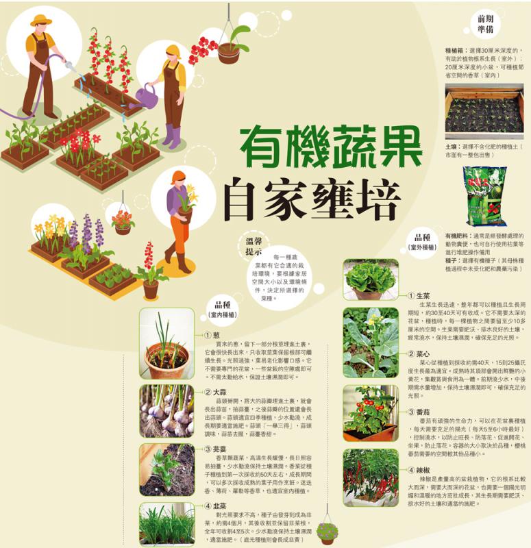 家居種植系列\有機蔬果 自家壅培