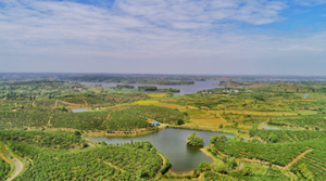 第三届中原国际文化旅游产业博览会开幕