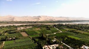 兰州颁“骏马奖”发“蜗牛牌”促文明城市创建