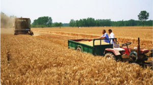 2月至7月“中国好人榜”发布 20位河南好人上榜