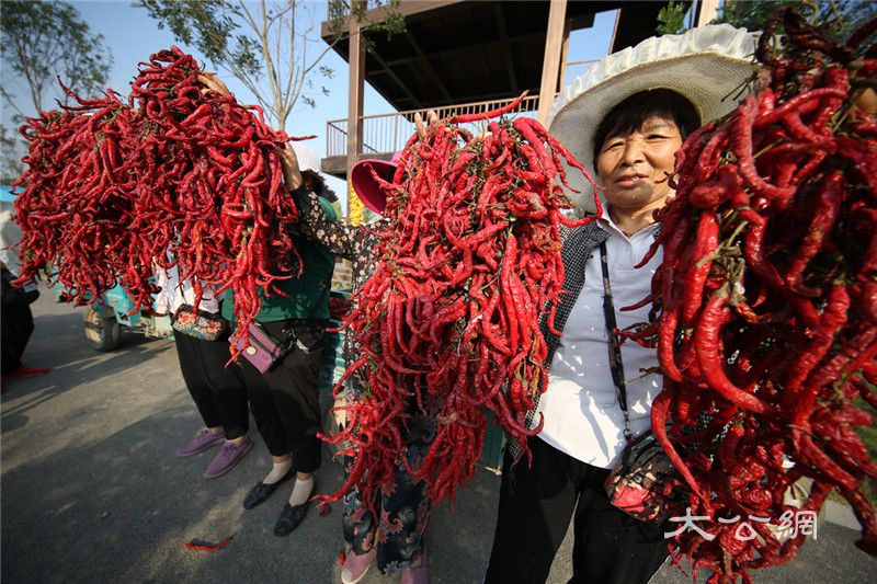 【A有修改】【文末附合法稿源鏈接】2020年中國農民豐收節河南主會場活動將在開封開幕