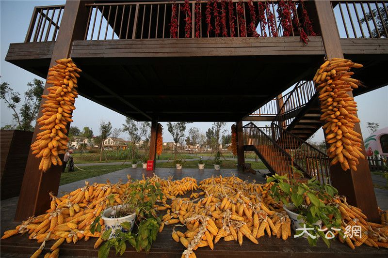 【A有修改】【文末附合法稿源鏈接】2020年中國農民豐收節河南主會場活動將在開封開幕