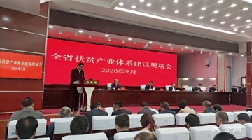 唐仁健：甘肃三年多搭起产业扶贫“四梁八柱” “星星之火”变“燎原之势”