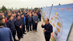 甘肃推”环县式”羊产业标准化体系助力脱贫攻坚