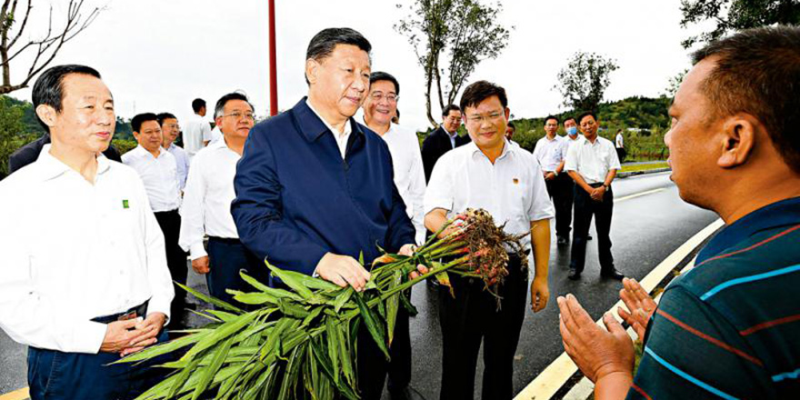 习近平湖南考察扶贫产业发展