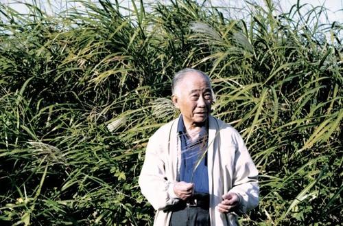 汪曾祺的平和家風/霍無非