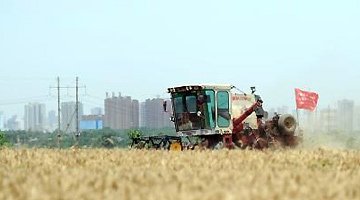 河南粮食交易大会合作成果丰硕 成交额居全国第一