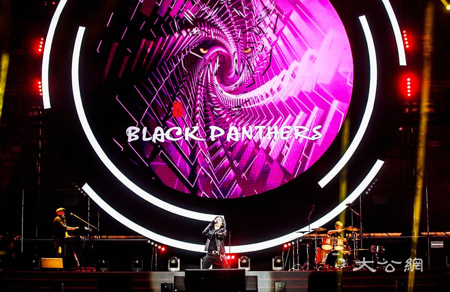 河南：一场网红音乐会 让古都洛阳焕发盎然生机