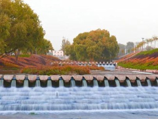 白银荒山三十载变山清水秀