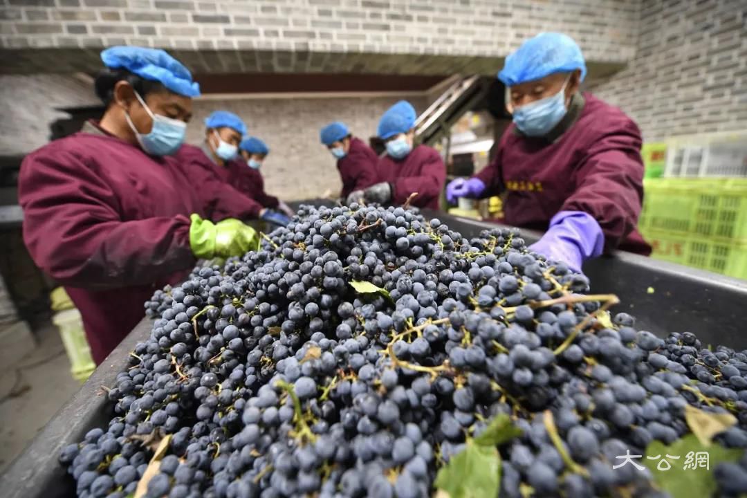 微信圖片_20201021221007.jpg 微信圖片_20201021221007.jpg