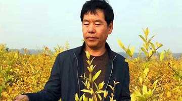 荥阳农民王润沛成功入选全国扶贫先锋