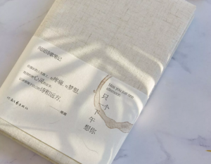 闵闵《隻一个下午想你》诗歌作品集发布