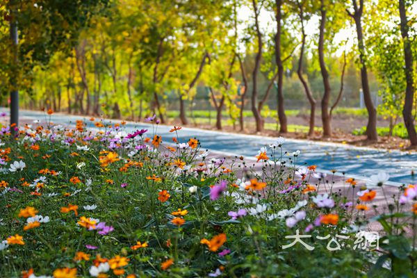 主流融媒体记者打卡郑州黄河滩地 感受惠济生态之美