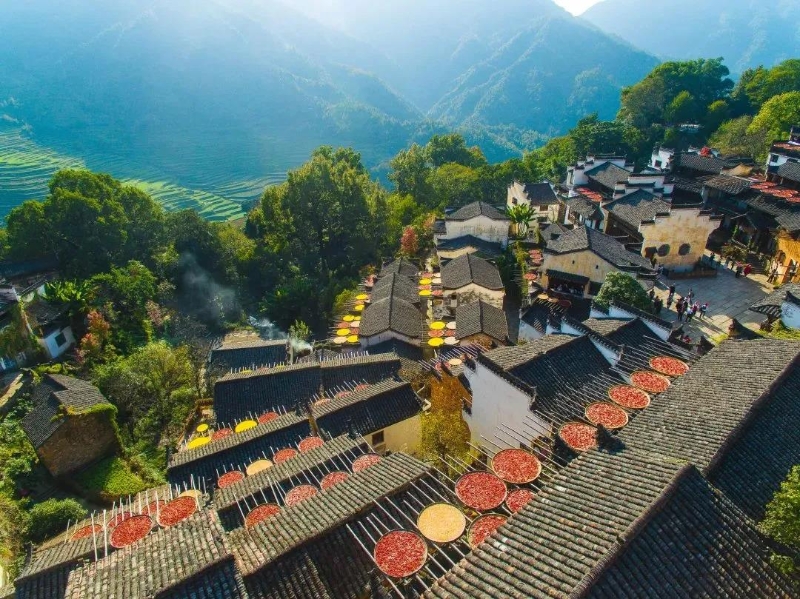 婺源：以村興旅 以花為媒 以文鑄魂