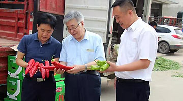 兰州：院士专家工作站助力农产品提质增效