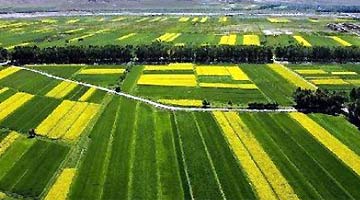 河南与中亚农业合作迈出新步伐