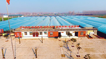 企业给力的“娘家人”