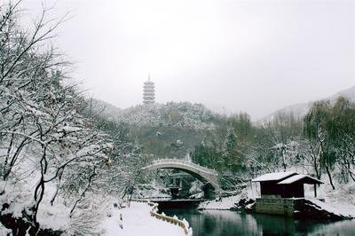 文旅惠民聚人氣 冬游齊魯亮點多