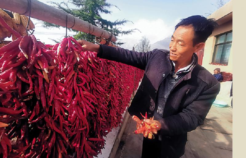 重回大山興旅業 隴農砍窮根