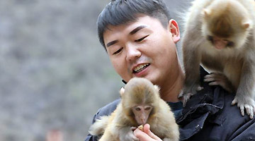 匡振京：太行山中的“猴爸爸”