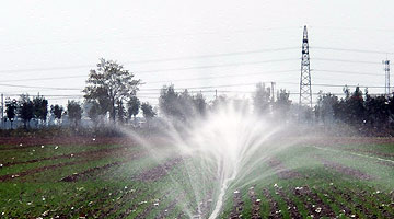 “全国种粮售粮大户”后继承业“接棒”