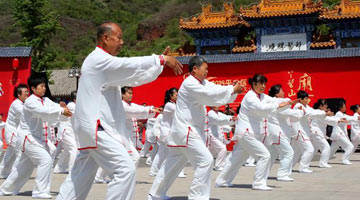 太极拳申遗成功背后的故事