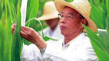 程相文：今生情系一颗种子