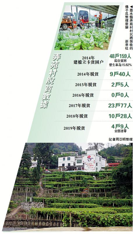 漫山佛手瓜 貴州窮鄉富起來