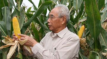 程相文入选全国“最美科技工作者”