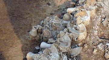 追迹夏代，解读中华文明密码 ——2020年夏代探索新成果