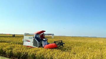 中国种 河南芯|大豆困局下的河南担当