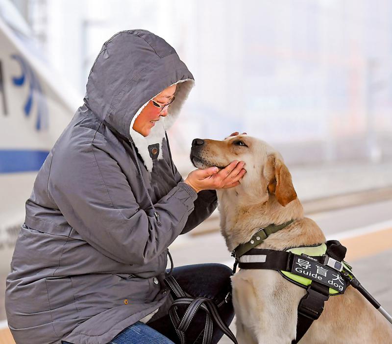 寵物經濟火爆 國產狗糧逐鹿千億市場